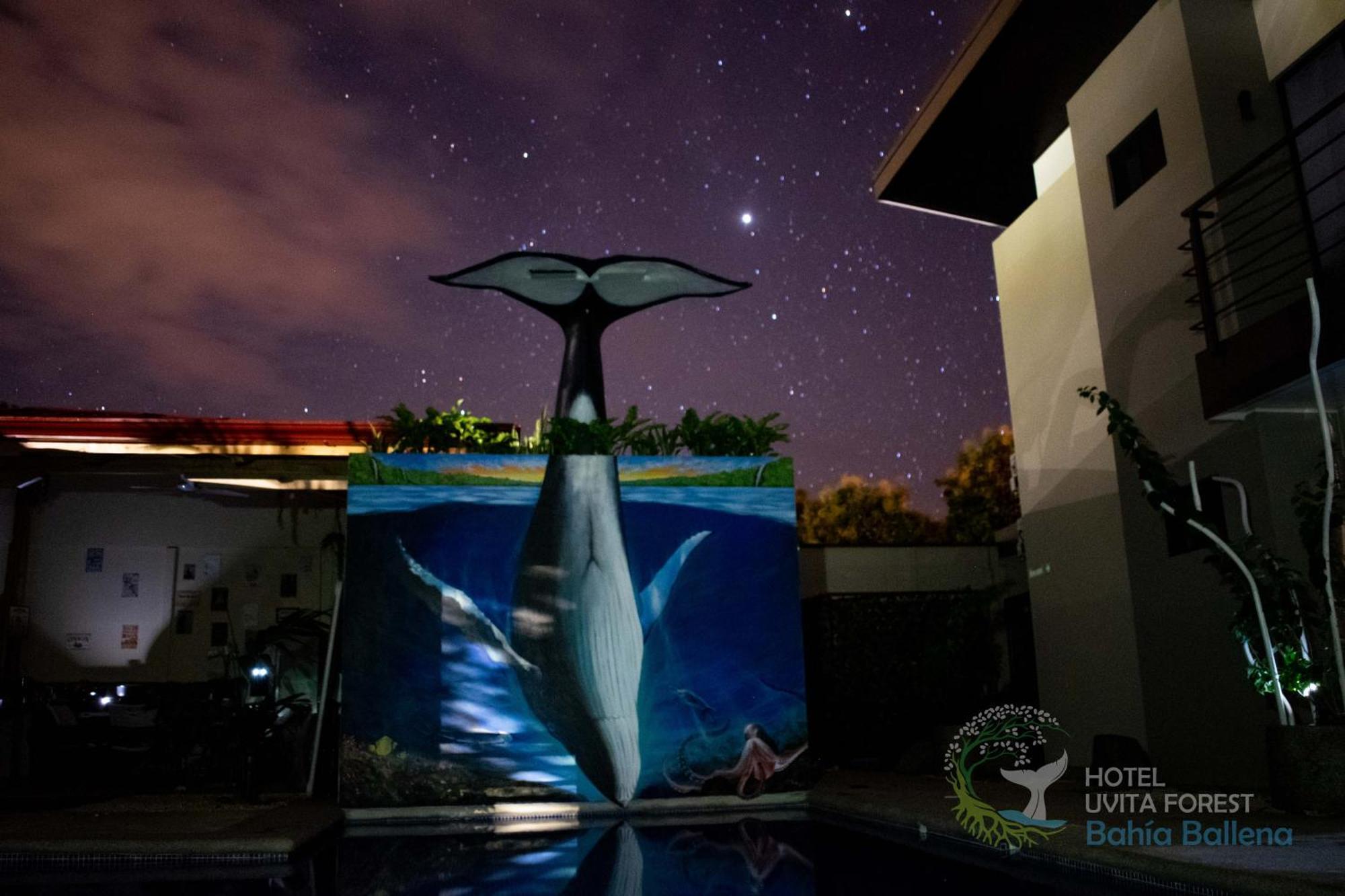 Hotel Uvita Forest 外观 照片